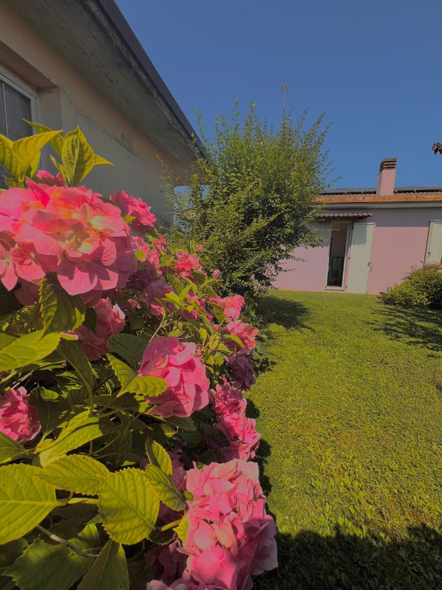 Civico 21-freeparking Holiday home Vescovato